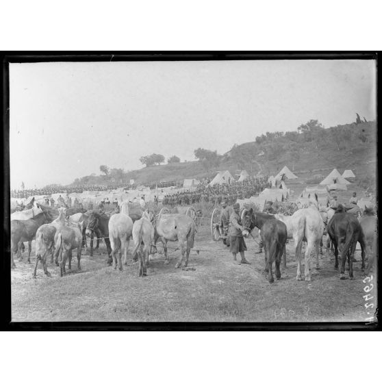 Corfou. Le Bivouac du 2e régiment de zouaves. [légende d'origine]