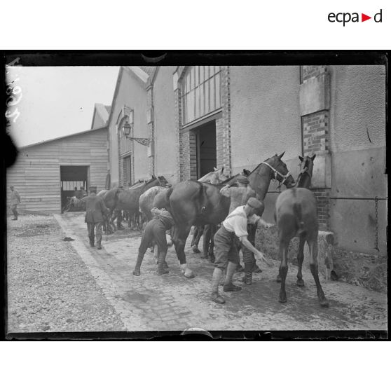 Châlons-sur-Marne (Marne). Hôpital Corbineau. Prisonniers allemands étrillant des chevaux (galeux). [légende d'origine]