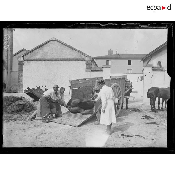 Châlons-sur-Marne. Caserne Tirlet. Débarquement d'un cheval. [légende d'origine]
