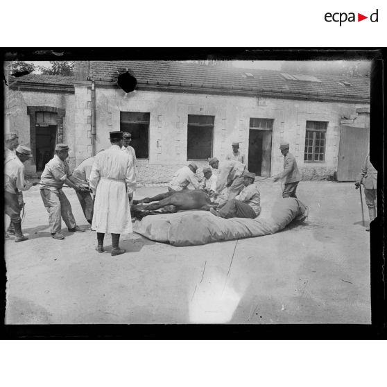 Châlons-sur-Marne. Caserne Tirlet. Opération sur un cheval blessé (extraction d'un éclat d'obus). [légende d'origine]