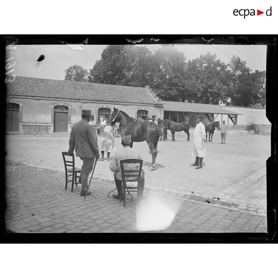 Châlons-sur-Marne. Caserne Tirlet. Triage des animaux amenés du front. [légende d'origine]