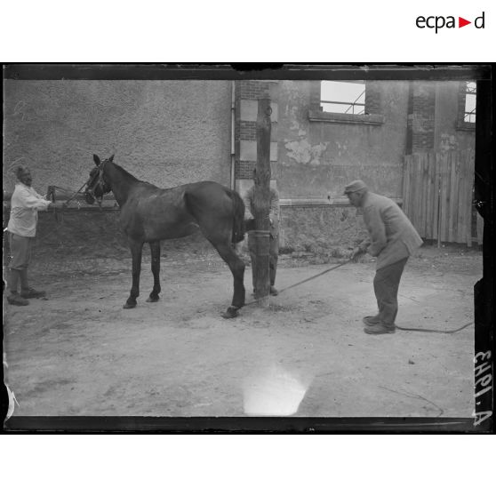 Châlons sur Marne. Caserne Fargeau. Ferrage de chevaux dangereux. [légende d'origine]