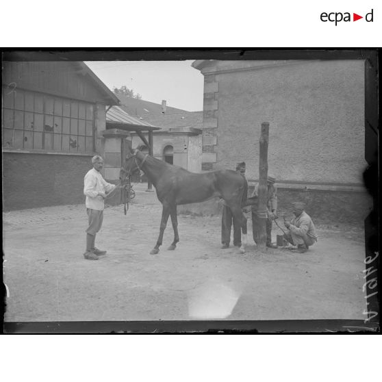 Châlons sur Marne. Caserne Fargeau. Ferrage de chevaux dangereux. [légende d'origine]