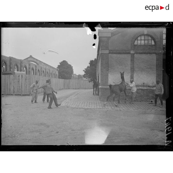 Châlons sur Marne. Caserne Fargeau. Ferrage de chevaux dangereux. Le passage du lac. [légende d'origine]