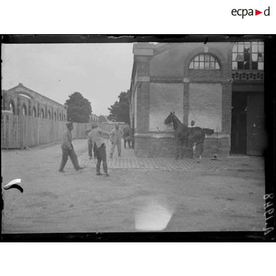 Châlons sur Marne. Caserne Fargeau. Ferrage de chevaux dangereux. [légende d'origine]