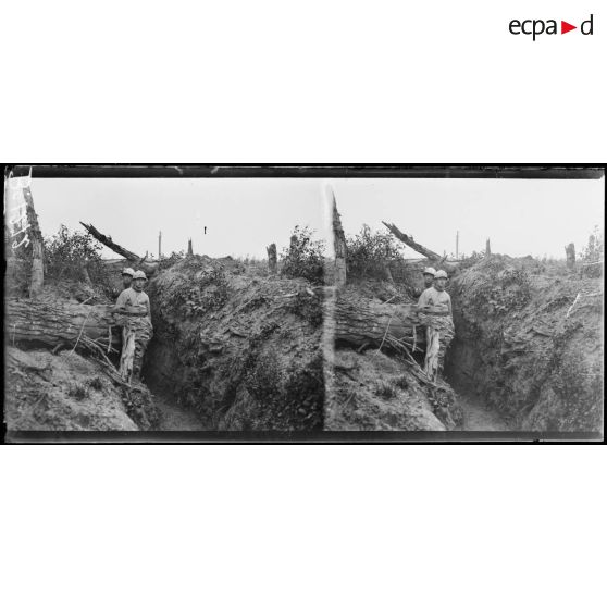 Devant Chevreux, ce qui reste d'un bois. [légende d'origine]