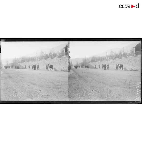 Possagno. Muletiers italiens venant des lignes. [légende d'origine]