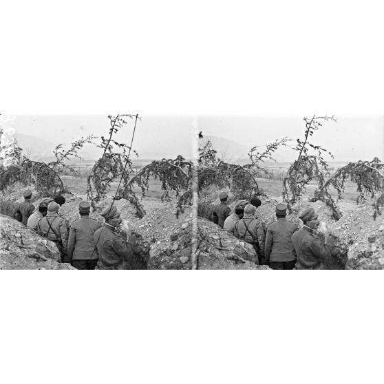 Région de Vidor. Le colonel Pietro Gelijeses et officiers dans une tranchée au bord de la Piave. [légende d'origine]