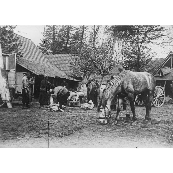 Campement Marocains à Tinques (Pas-de-Calais). [légende d’origine]