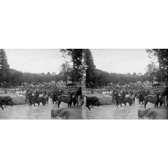 Suippes (4e armée). Chevaux à l’abreuvoir. [légende d’origine]