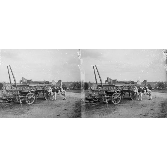 Villers-aux-vents (Meuse) : ruines du village. [légende d’origine]