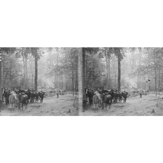 Forêt d’Argonne. Baraquements Monhoven, La Croix de pierre. [légende d’origine]