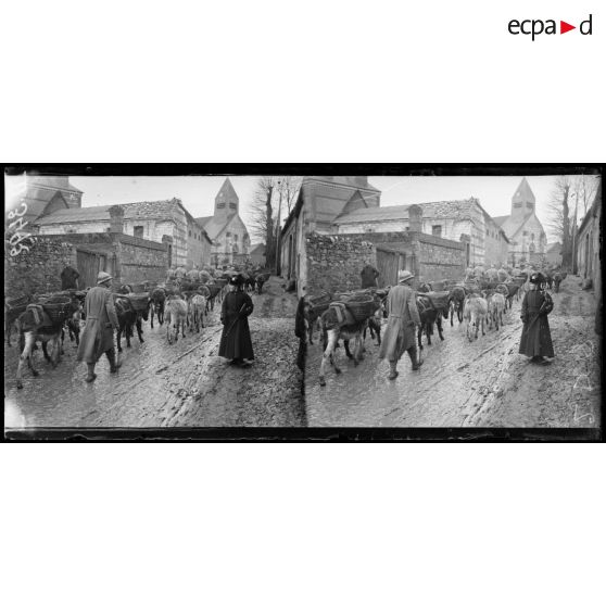 Coivrel (Oise). Ânes de tranchée et leur conducteur. [légende d'origine]