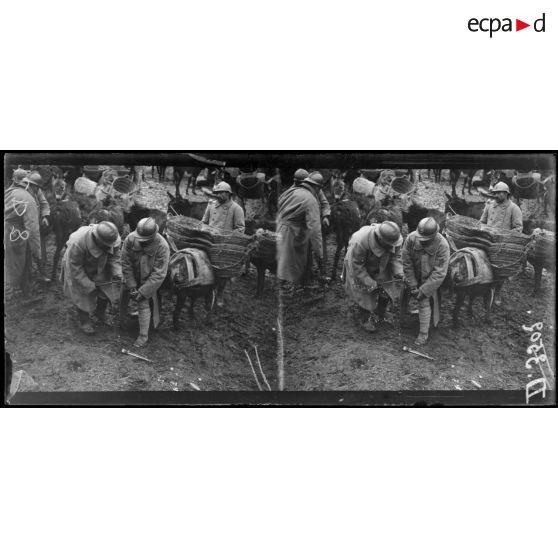 Coivrel (Oise). Vérification des ferrures des ânes. [légende d'origine]