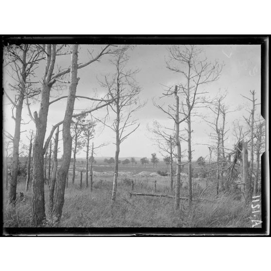 Mission de Mr Variot. Voyage à la brigade russe. Secteur d'Auberive. Les hauteurs de Moronvilliers. Vues de la voie romaine. [légende d'origine]