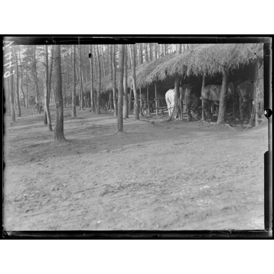 Châlons-sur-Vesle, Marne, cantonnement du train de combat du 75e. [légende d'origine]