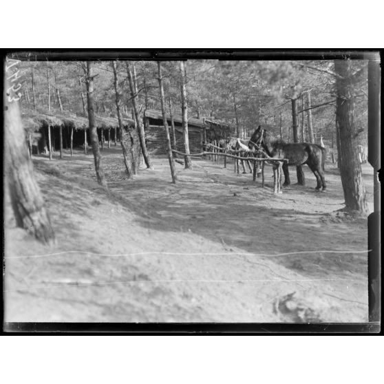 Bois de Mâco, Est de Châlons-sur-Vesle, Marne, écuries. [légende d'origine]