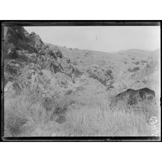 Ravin de Vladaja au pied de la cote 227. [légende d'origine]