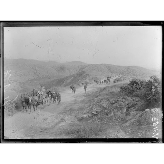 Route de Doiran. Convoi de ravitaillement. [légende d'origine]