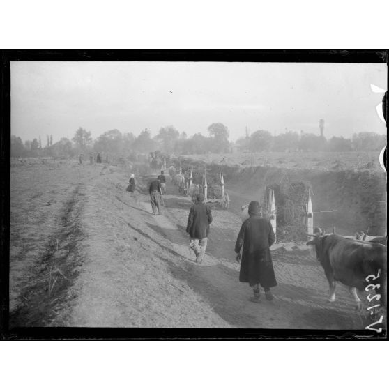 Près Petorak. Transport de matériel pris aux Bulgares. [légende d'origine]