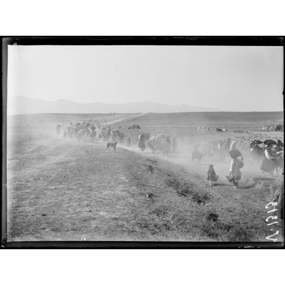 Kalenitz (NE de Florina). Les habitants chassés par les bulgares, y rentrent aussitôt la prise du village par les français. [légende d'origine]