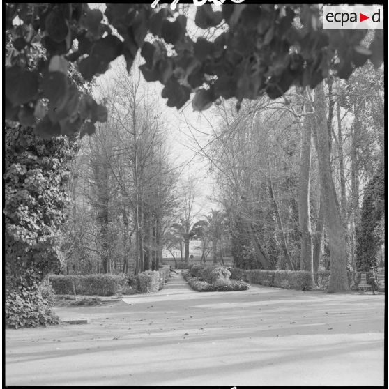 [Soldat lisant sur un banc du jardin public de Sidi-Bel-Abbès.]