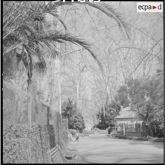 [Population civile se promenant au jardin public de Sidi-Bel-Abbès.]