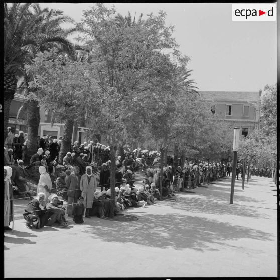 Revue des troupes à Saïda. Vue de la population civile venue assister à la revue des troupes. [légende d'origine]