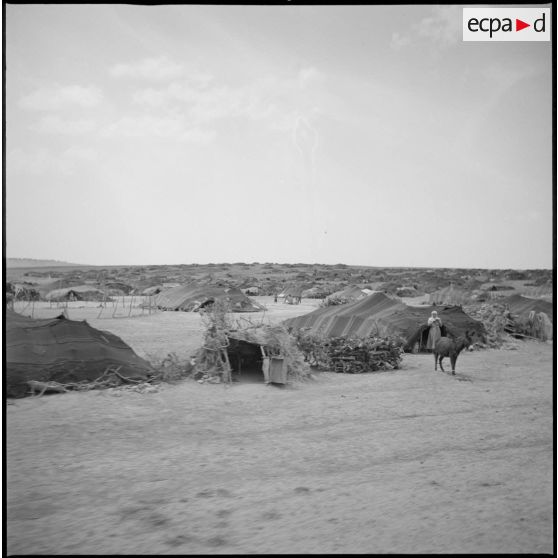 Vue des regroupements de khaïmas effectués autour du poste de Tircine. [légende d'origine]