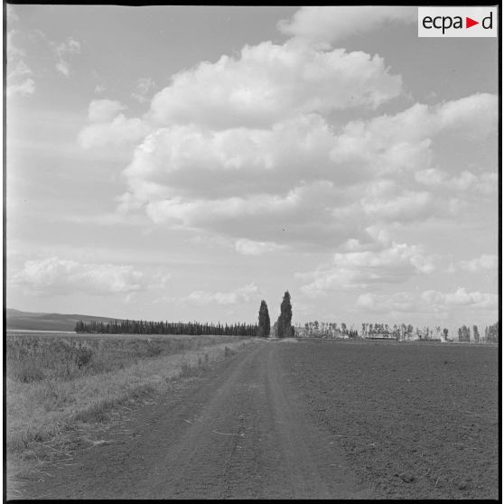 Vue d'ensemble d'une exploitation agricole. [légende d'origine]