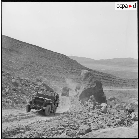 Vue d'un convoi de véhicules militaires (une jeep et deux half-track) qui circulent sur une piste entre le Kreider et Aïn Sefra. [légende d'origine]