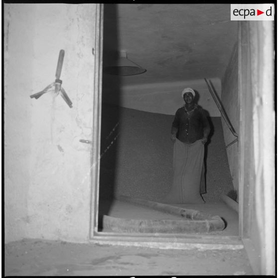 Un ouvrier de la coopérative des Maalif remplit un sac de grain. [légende d'origine]