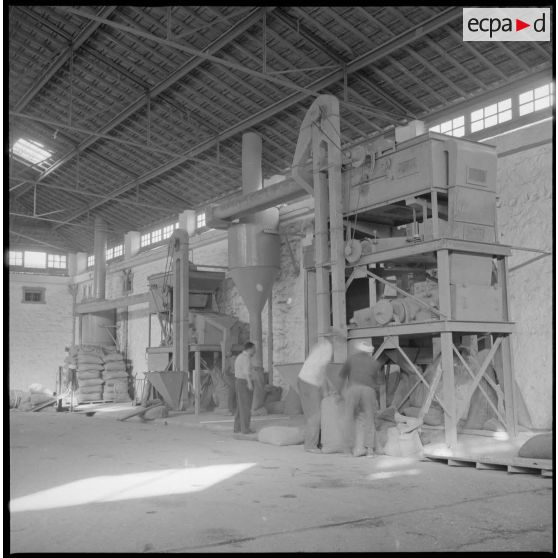 Vue des machines agricoles situées à l'intérieur des hangars de la coopérative des Maalifs. [légende d'origine]