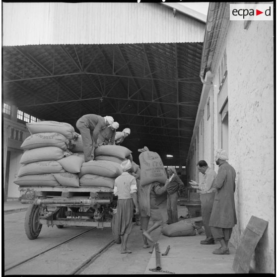 Des ouvriers déchargent des sacs de grains d'un camion à la coopérative des Maalifs. [légende d'origine]