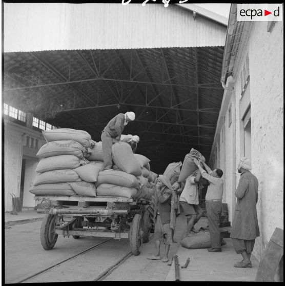 Des ouvriers déchargent des sacs de grains d'un camion à la coopérative des Maalifs. [légende d'origine]