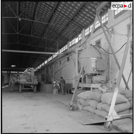 Vue de l'intérieur d'un hangar situé dans les docks de la coopérative de Bou-Rached. [légende d'origine]