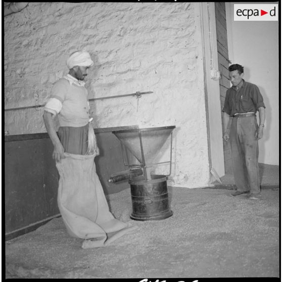 A la coopérative des Maalifs deux ouvriers observent un entonnoir. Des graines de céréales sont répandues sur le sol autour. [légende d'origine]