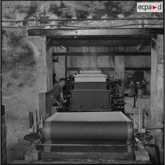 [Papeterie d'Aïn-el-Hadjar. Un ouvrier travaille avec une machine munie de cylindres et utilisée pour la fabrication du papier.]