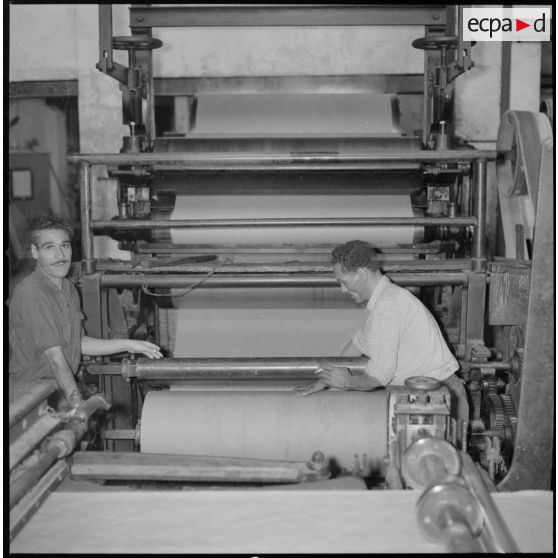 [Papeterie d'Aïn-el-Hadjar. Deux ouvriers travaillent avec une machine munie de cylindres et utilisée pour la fabrication du papier.]