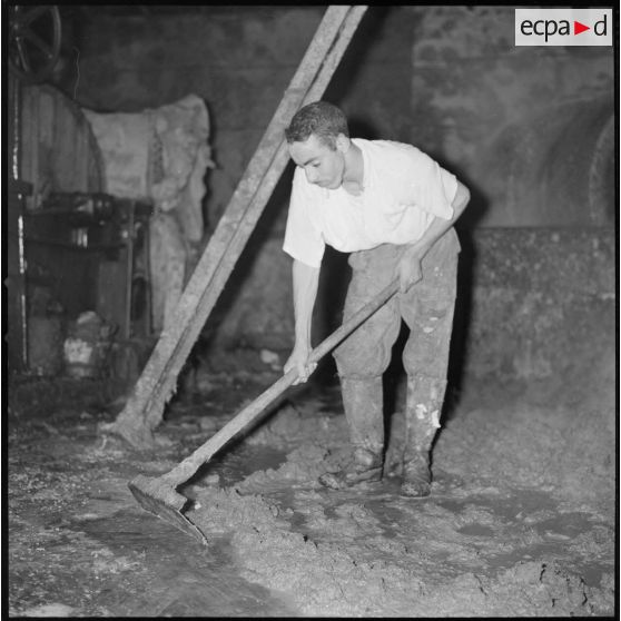 [Papeterie d'Aïn-el-Hadjar. Un ouvrier racle le sol.]