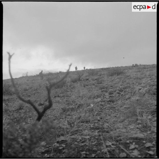 [Soldats en progression dans le département de Saïda.]