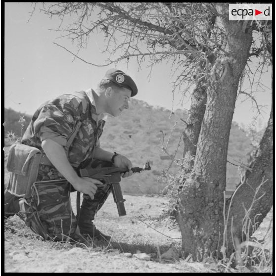 [Entraînement de parachutistes dans un verger du Vieux Saïda. Soldat posté derrière un arbre.]