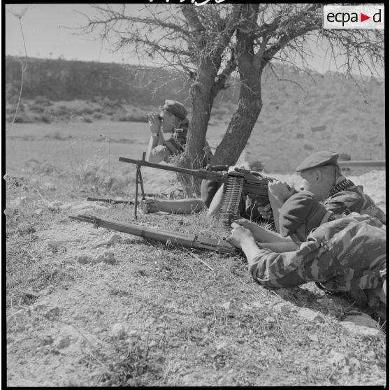 [Entraînement de parachutistes dans un verger du Vieux Saïda. Soldats couchés en position de tir.]