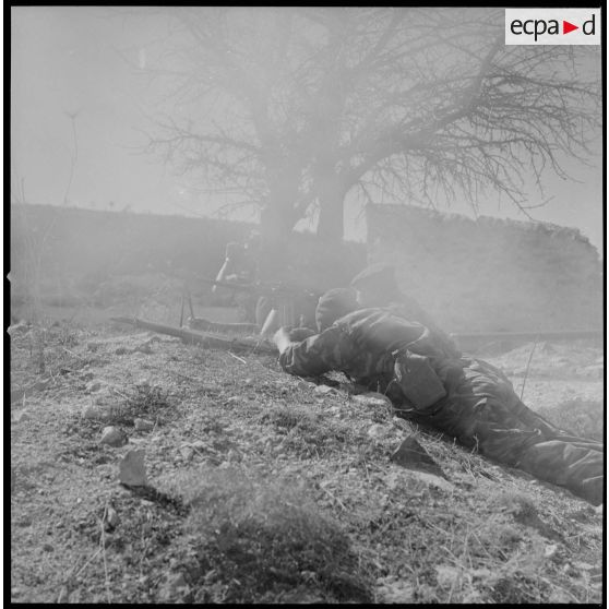 [Entraînement de parachutistes dans un verger du Vieux Saïda. Soldats couchés en position de tir.]