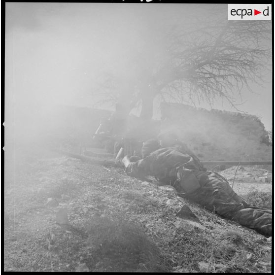 [Entraînement de parachutistes dans un verger du Vieux Saïda. Soldats couchés en position de tir.]