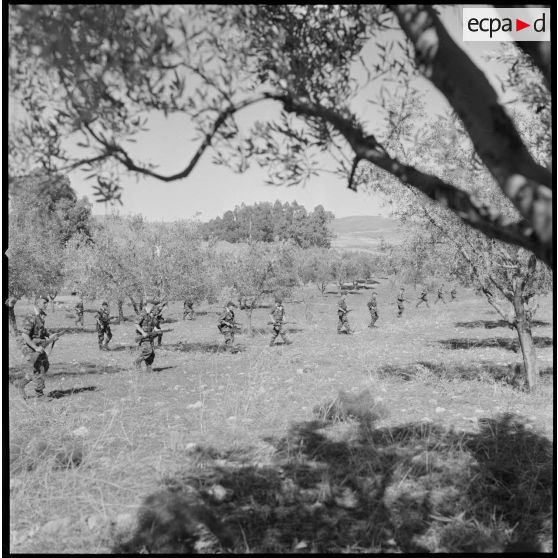 [Entraînement de parachutistes dans un verger du Vieux Saïda. Soldats progressant en colonne.]