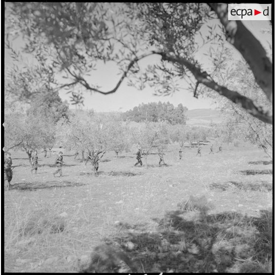 [Entraînement de parachutistes dans un verger du Vieux Saïda. Soldats progressant en colonne.]