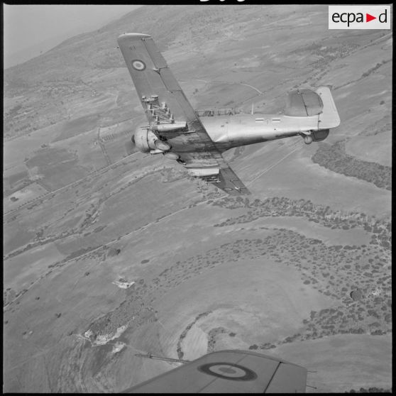 [Avion North American T-6 de l'escadrille d'aviation légère d'appui (EALA) en vol de reconnaissance.]