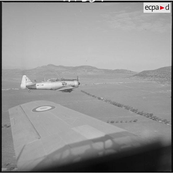 [Avion North American T-6 portant l'insigne de la 14/72e escadrille d'aviation légère d'appui (EALA) en vol de reconnaissance.]