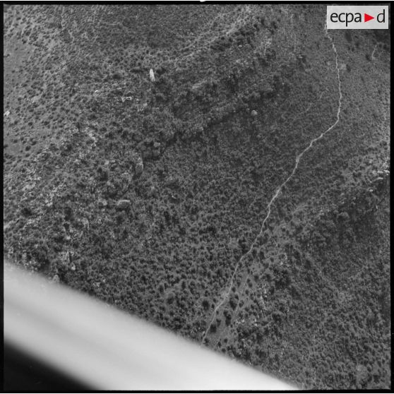 [Vue aérienne prise d'un avion North American T-6.]